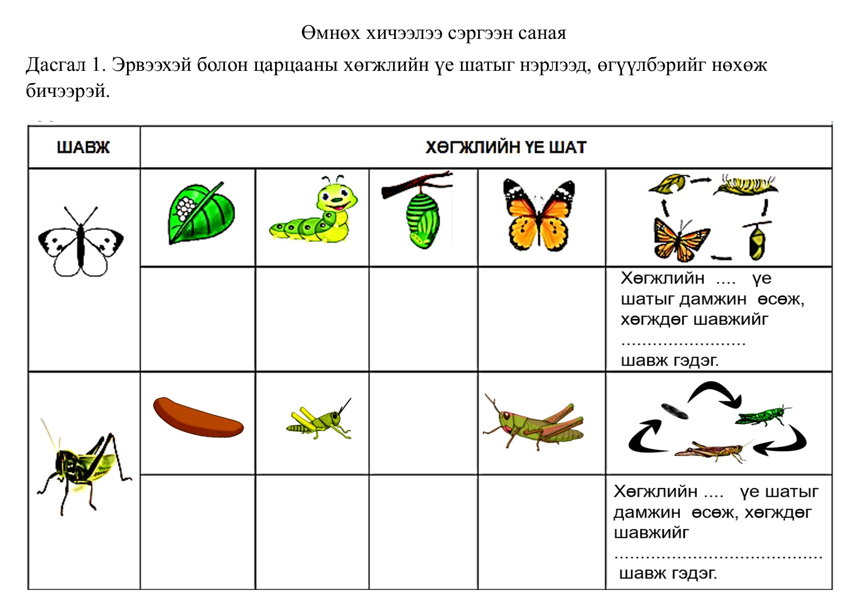 Мэдлээ | Цахим контент